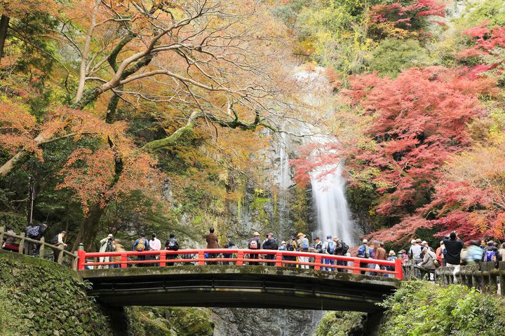 この紅葉に 恋をする 絶対行きたい 大阪 の絶景紅葉スポットtop10 Retrip リトリップ この紅葉に 恋をする 絶対行きたい 大阪 の絶景紅葉スポットtop10 Retrip リトリップ