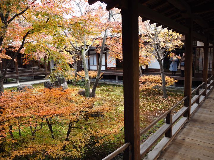はんなり京散歩してみない 京都 祇園の 花見小路通 が素敵すぎる Retrip リトリップ
