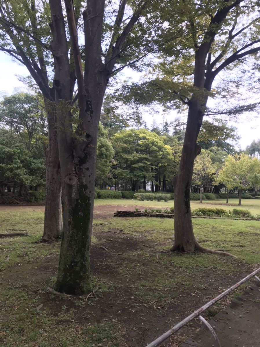 松戸中央公園 Retrip リトリップ