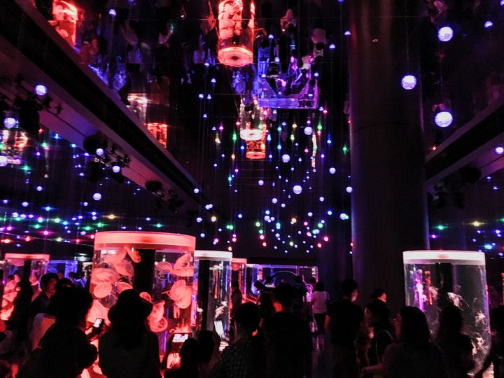 寒がりカップルにおすすめ！"光"の芸術が美しい東京都内の屋内デートスポット7選