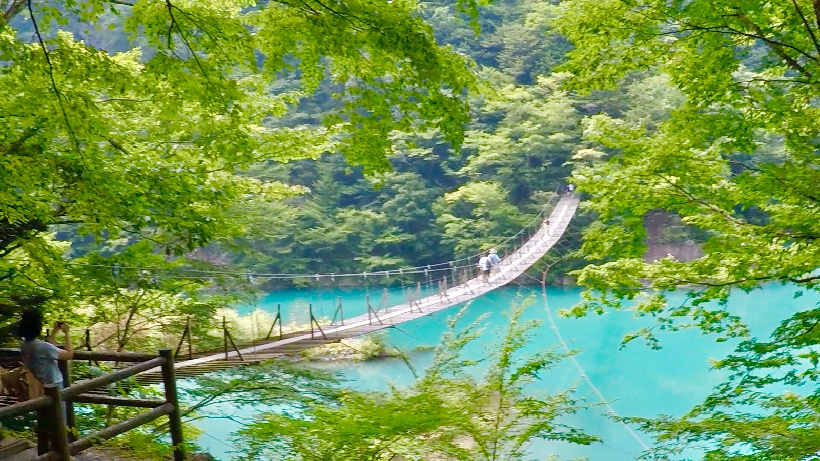 愛の吊り橋効果 を試さない 関東近郊エリアにある 吊り橋 スポット12選 Retrip リトリップ