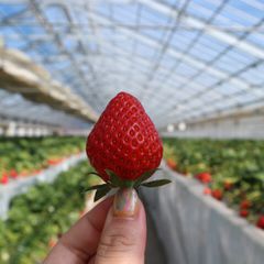 ニュース画像