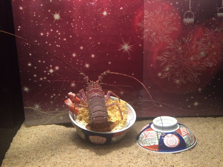 定番だけど安定 クリスマスに行きたい みなとみらい のデートスポット10選 Retrip リトリップ