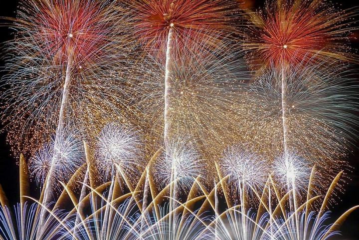 ※画像は過去のものです