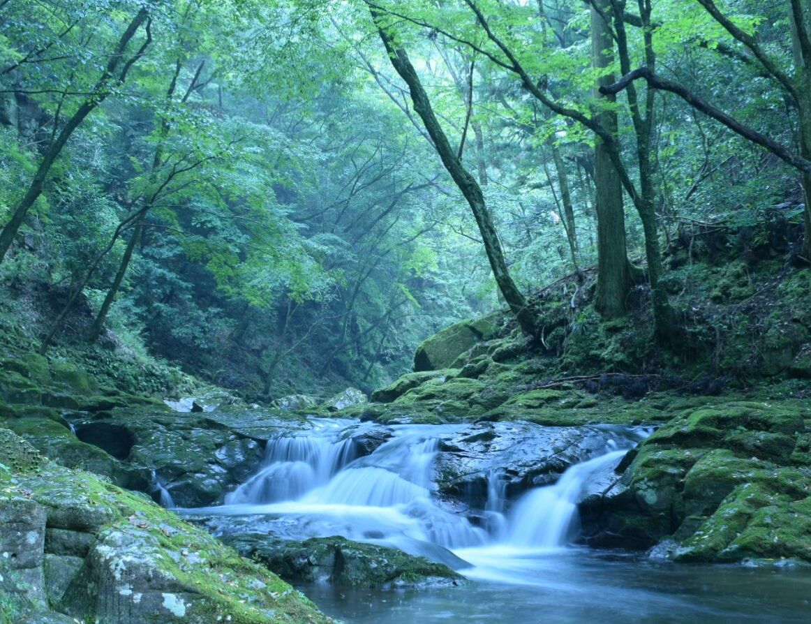 三重 県 名張 市