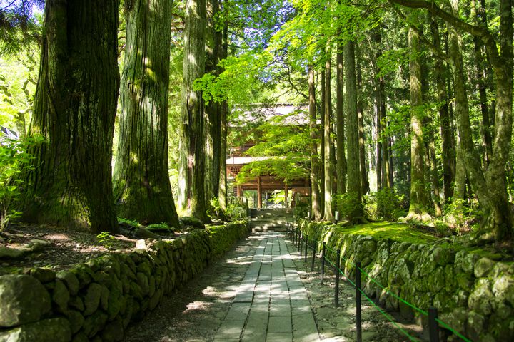 自分を一度リセットする旅。週末旅行で行きたい長野県のu201c心の充電 