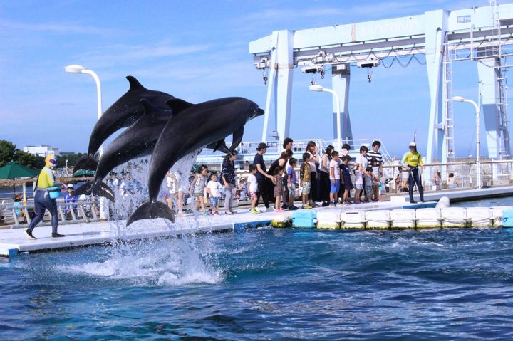 水族館に花火も 横浜八景島シーパラダイスでしたい5つのこと Retrip リトリップ