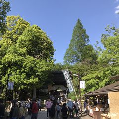 最新 調布の人気スポットランキングtop30 Retrip リトリップ