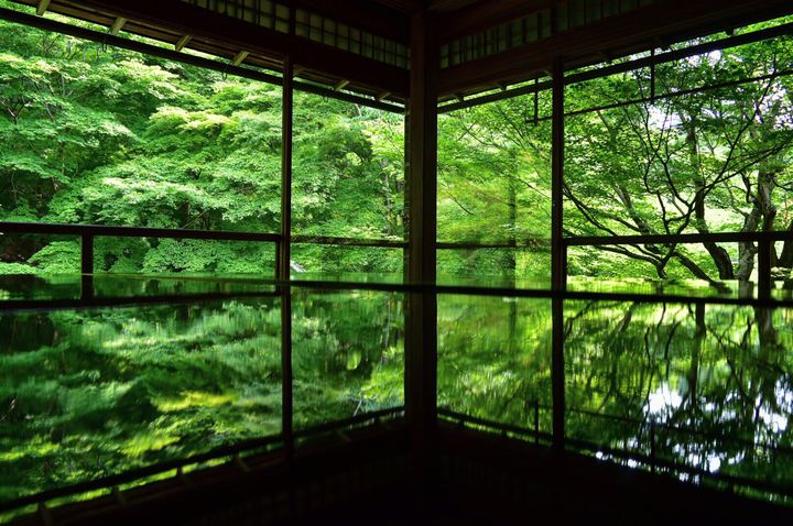 GWが見頃！"青もみじ"が美しい「京都の名所7選」をご紹介