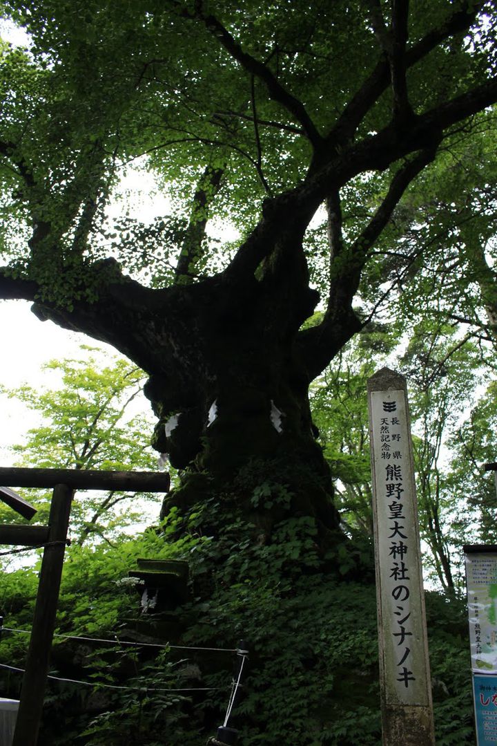 開運 縁結びのパワースポットとして人気がある 熊野皇大神社 Retrip リトリップ