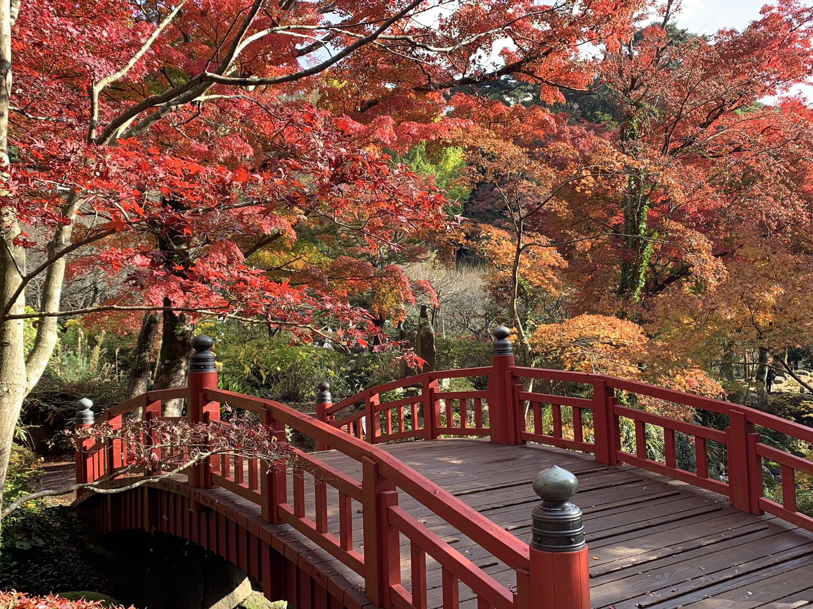 静岡県の紅葉の名所を一挙紹介 静岡県の絶景紅葉スポット10選 Retrip リトリップ