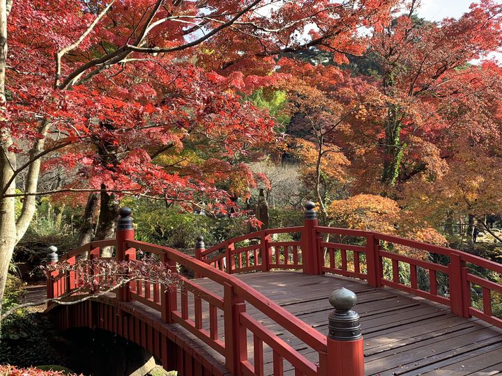 静岡県の紅葉の名所を一挙紹介！静岡県の絶景紅葉スポット10選