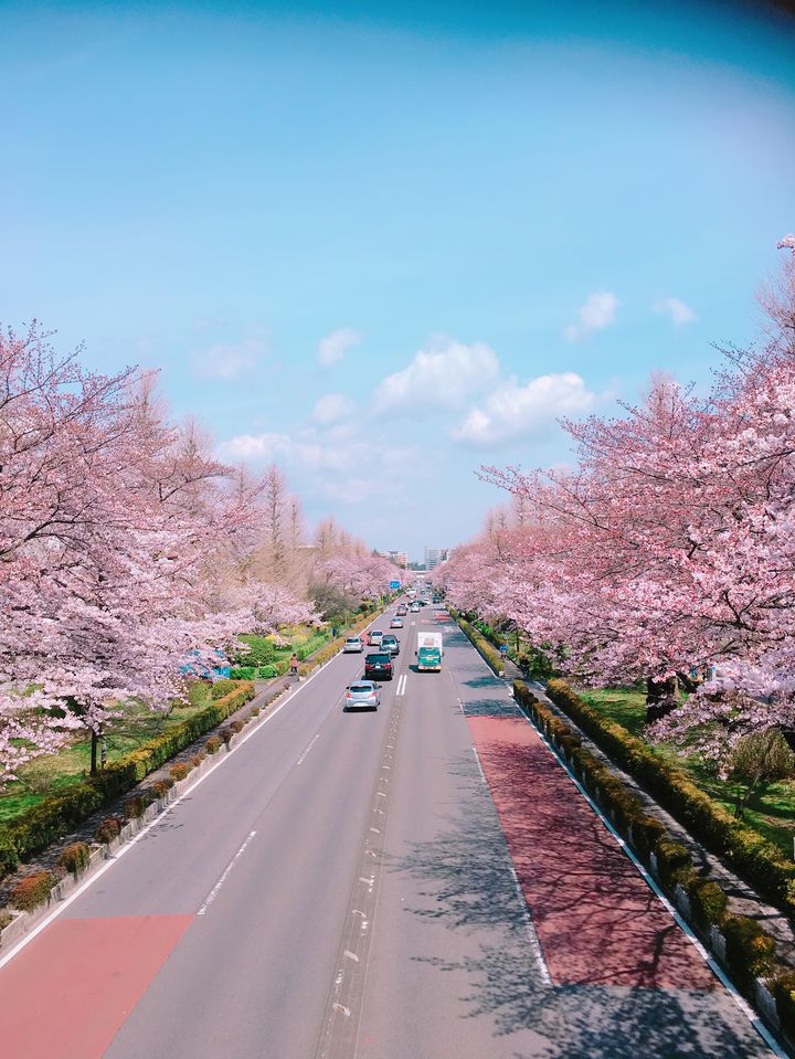 東京にいながら美しい自然を肌で感じる 国立市 の観光スポット5選 Retrip リトリップ