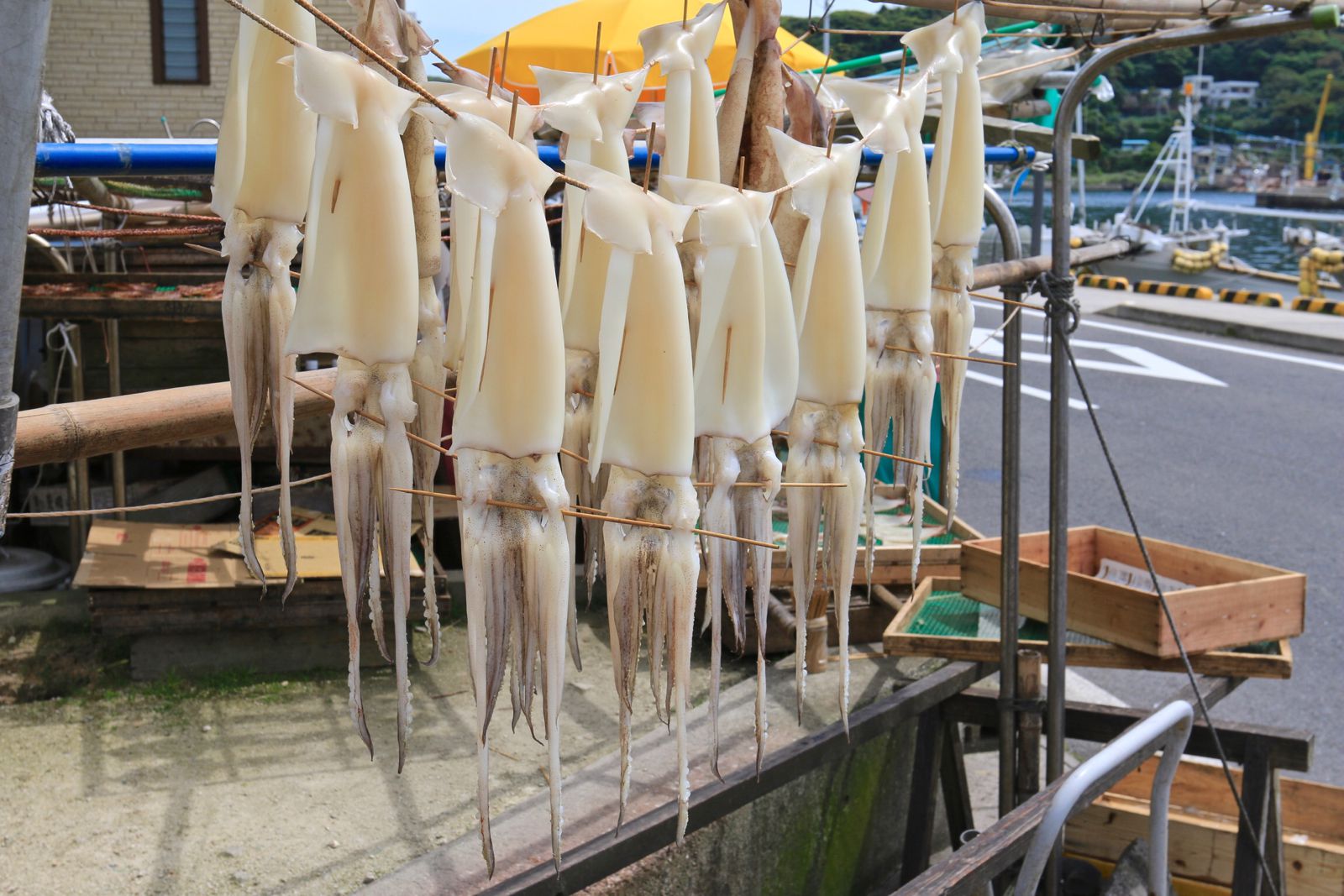 21最新 佐賀の人気フリーマーケット 露店ランキングtop1 Retrip リトリップ