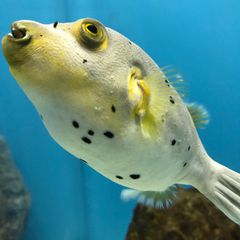 最新 中国地方の人気動物園 水族館ランキングtop25 Retrip リトリップ