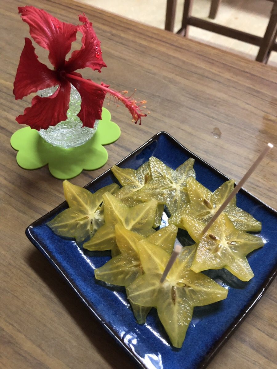 川平マエタケ農園