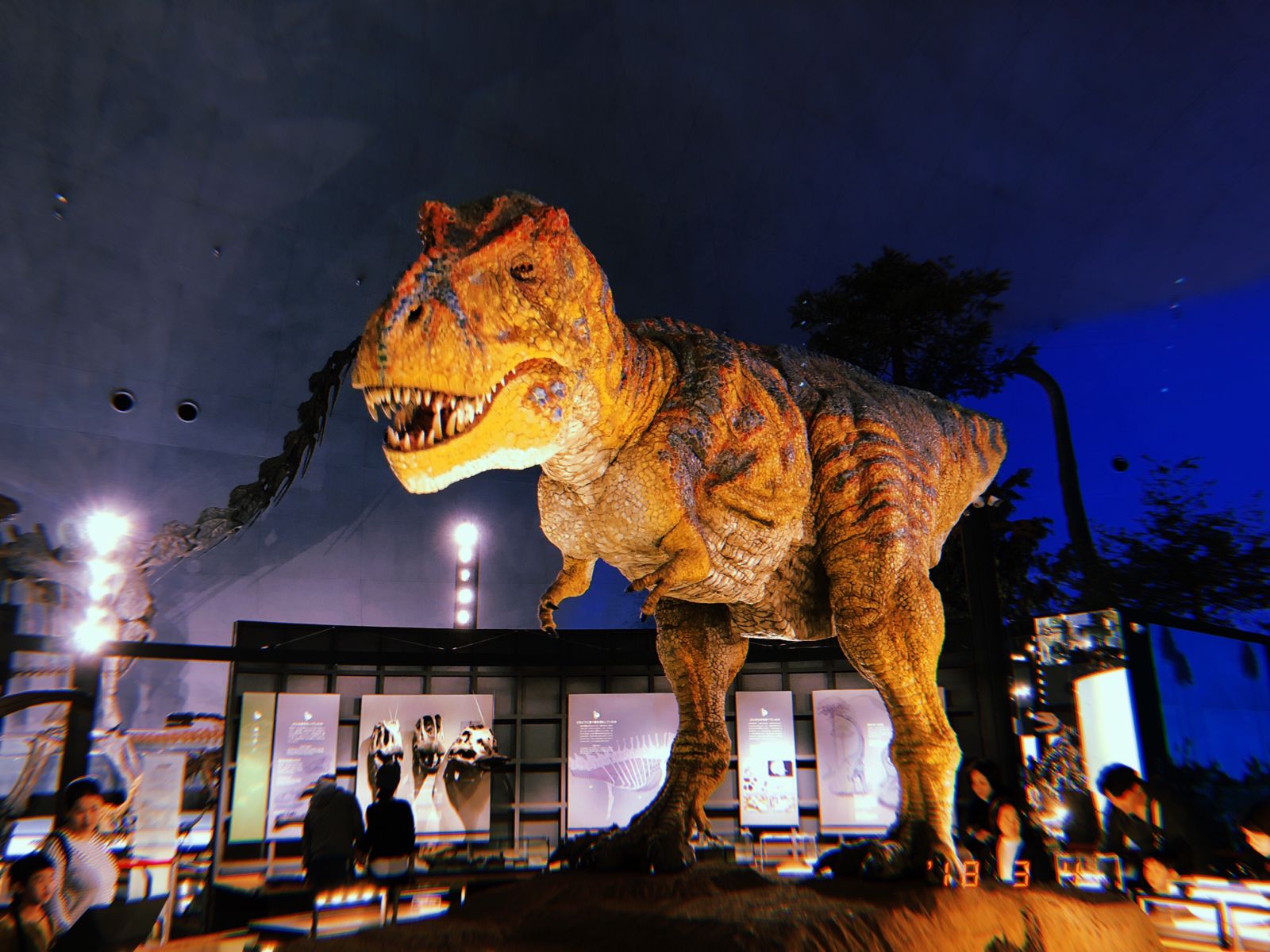恐竜 博物館 ツアー 福井