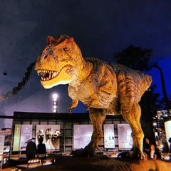 恐竜の世界を堪能しよう 福井県立恐竜博物館で味わえる５つのコト Retrip リトリップ