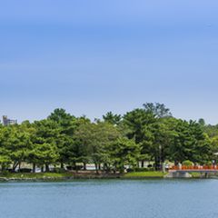 レアポケモンに必ず出会える 福岡の ポケモンの巣 まとめ ポケモンgo攻略 Retrip リトリップ