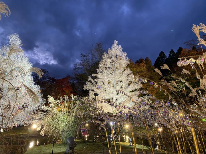この冬のデートはここで決まり！神奈川県のクリスマスにぴったりなデートスポット9選