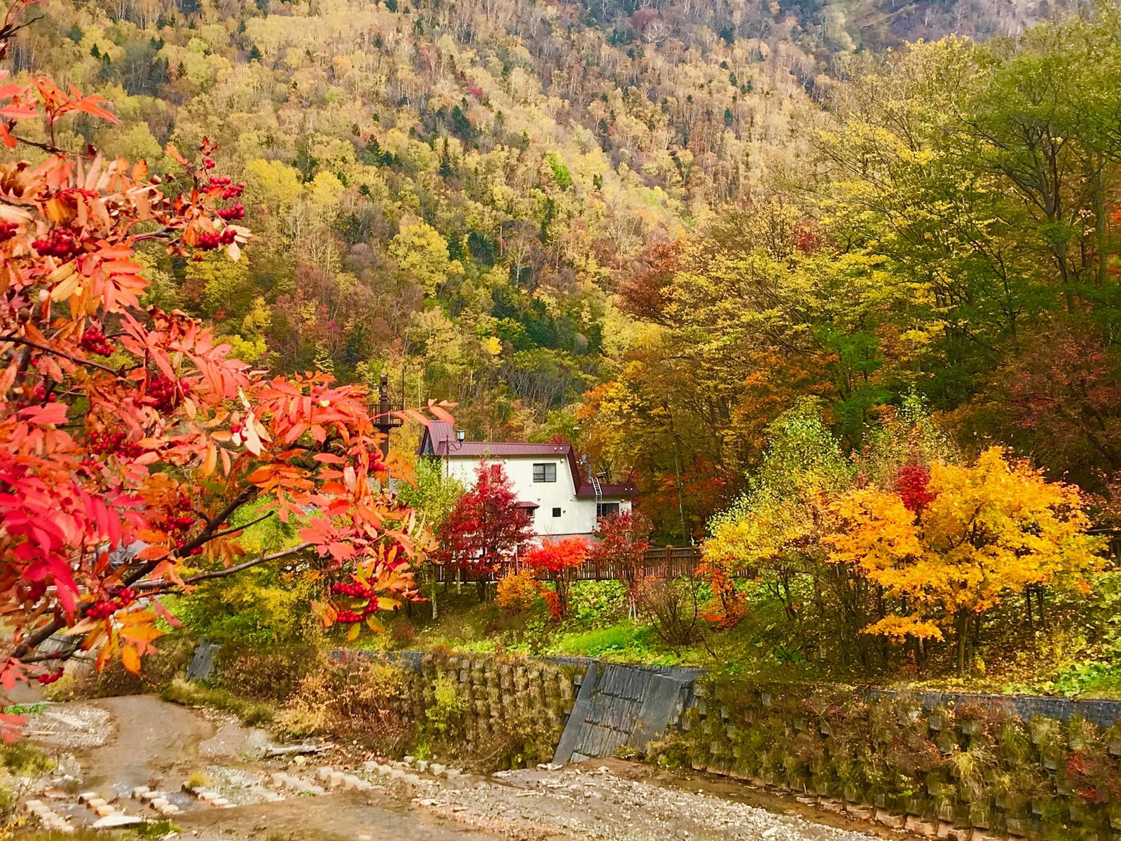 5枚目の画像 秋の北海道は絶景の宝庫なんです 紅葉の季節に楽しめる北海道の絶景7選 Retrip リトリップ