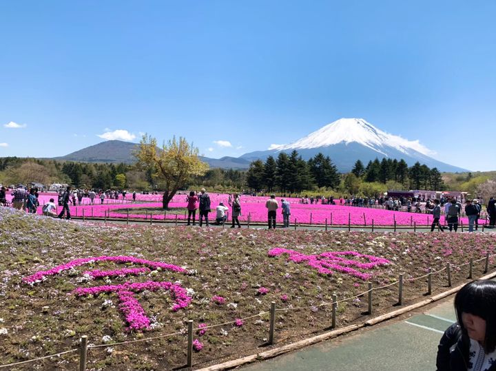 栖湖 リゾート 本