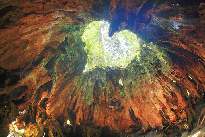 毎日にワクワク足りてる 絶対に行きたい 心が躍る国内の絶景スポット 7選 Retrip リトリップ