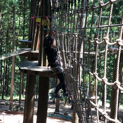 大人も楽しめる 兵庫の フォレストアドベンチャー 朝来 がリニューアル Retrip リトリップ