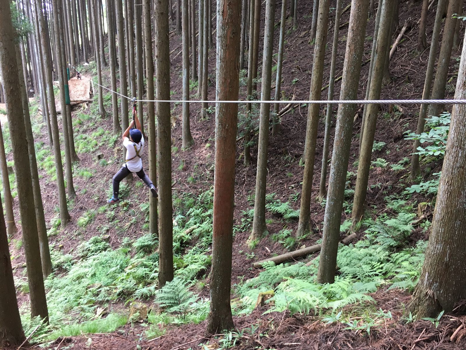 フォレストアドベンチャー 朝来 Retrip リトリップ