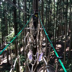 大人も楽しめる 兵庫の フォレストアドベンチャー 朝来 がリニューアル Retrip リトリップ