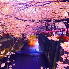 ニュース画像