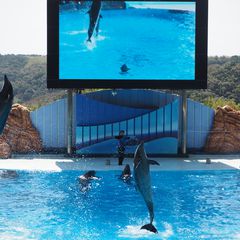 カップルで行きたい 和歌山県の人気おすすめおでかけスポット選 Retrip リトリップ