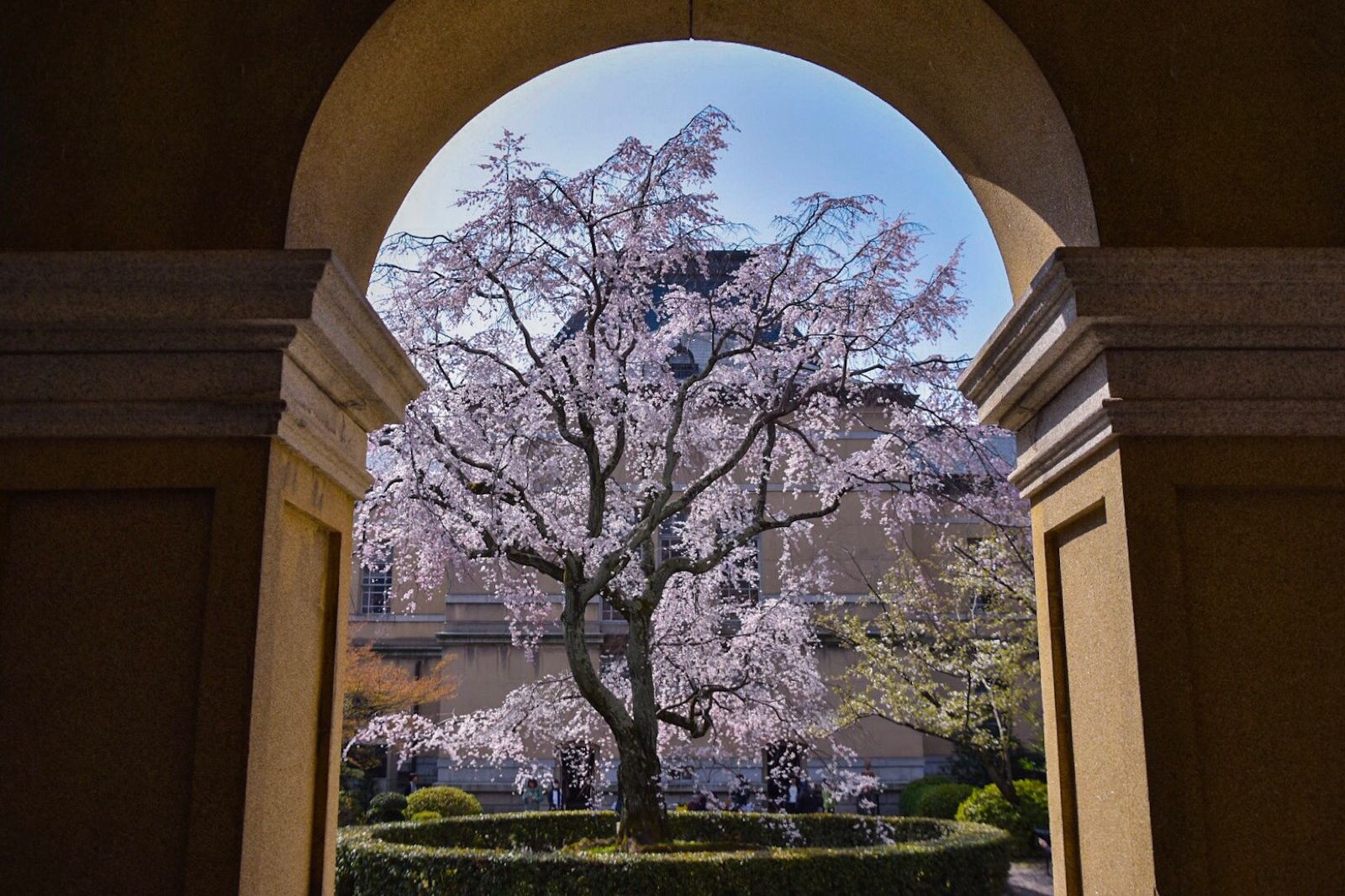 秘密にしたい桜の名所 この春行くべき京都の 穴場お花見スポット 10選 Retrip リトリップ