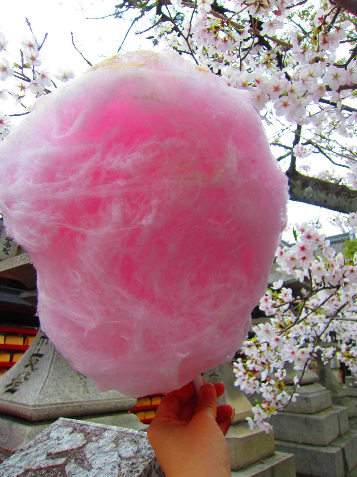 綿菓子様の専用です、‼️ 注文 綿菓子様の専用です、‼️ 綿菓子様の専用です、‼️ 駄菓子の王様