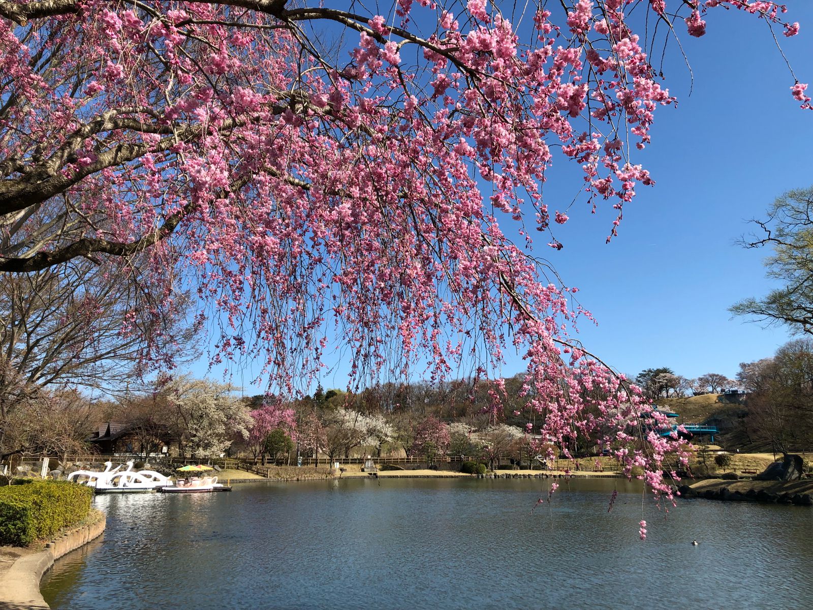 那珂川河畔公園