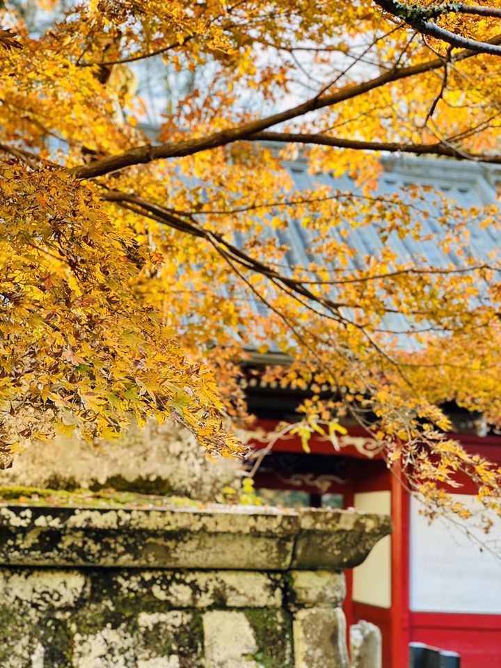 千葉の絶景紅葉スポット 知る人ぞ知る 小松寺 の紅葉がとにかく美しい Retrip リトリップ