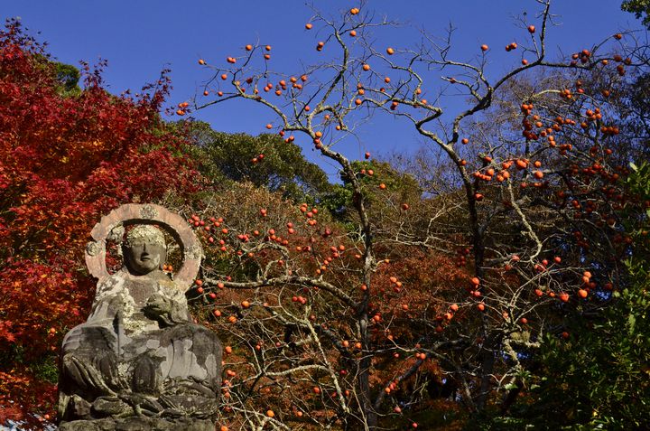 千葉の絶景紅葉スポット 知る人ぞ知る 小松寺 の紅葉がとにかく美しい Retrip リトリップ