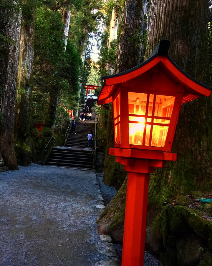 絶対行きたい 箱根神社 でパワーをチャージ Retrip リトリップ