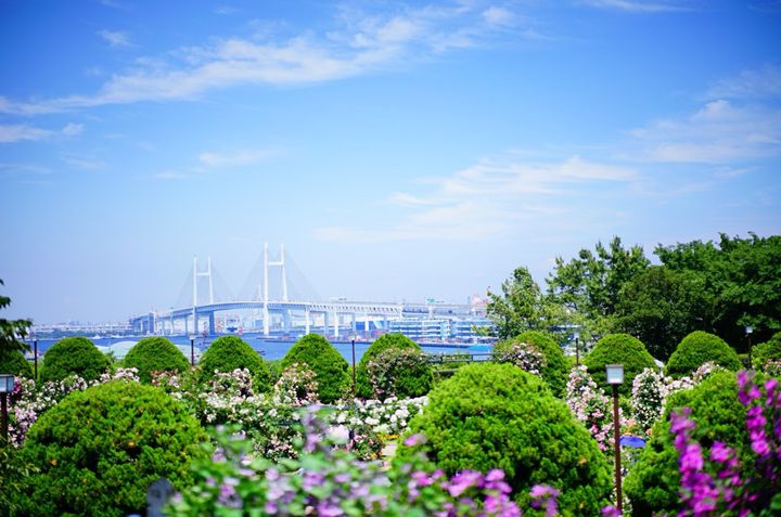 夏の終わりは 恋の始まり 神奈川でおすすめの海岸ドライブデートプラン10選 Retrip リトリップ