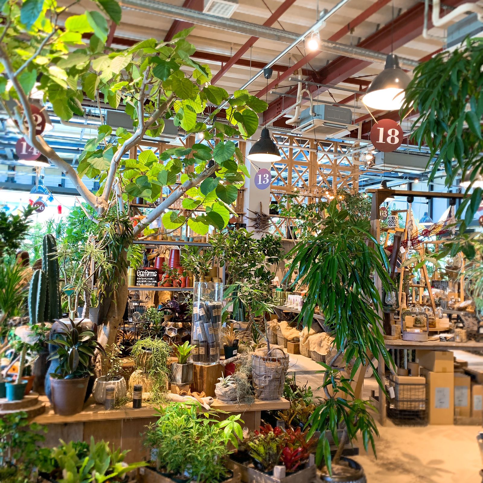 The Farm Universal Chiba ザ ファーム ユニバーサル チバ Retrip リトリップ The Farm Universal Chiba ザ ファーム ユニバーサル チバ Retrip リトリップ