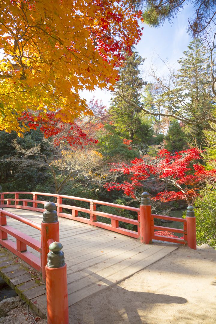心温まる秋景色をその目に。中国地方のこの秋行きたい紅葉鑑賞スポット