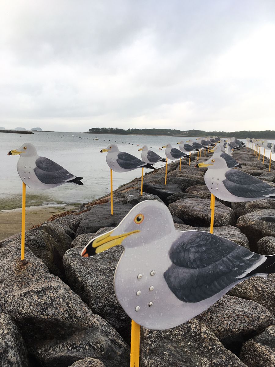 写真一覧 カモメの駐車場 Retrip リトリップ