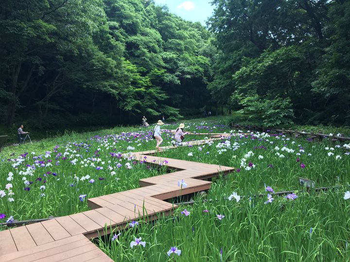 休日お散歩するならここでしょ 神奈川の自然あふれるお散歩スポット10カ所 Retrip リトリップ