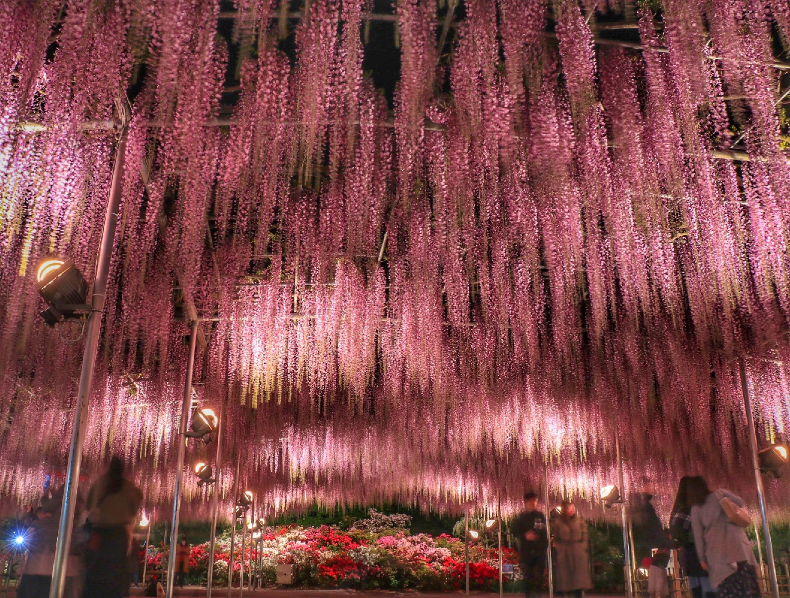 終了 天気の良い日にどこ行こう 東京近郊の 今週したいこと List Retrip リトリップ