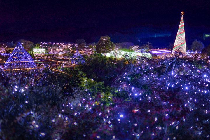 心温まる日を あなたと 関東近郊の Hotなクリスマススポット まとめ Retrip リトリップ