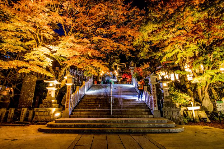 秋夜に色づく紅葉に恋をした 関東近郊の紅葉ライトアップ8選 21 Retrip リトリップ