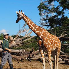 最新 神奈川の人気動物園 水族館ランキングtop28 Retrip リトリップ