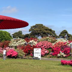 まだ見ぬ景色にきっとあなたも驚く 群馬県 館林市 の魅力5選 Retrip リトリップ