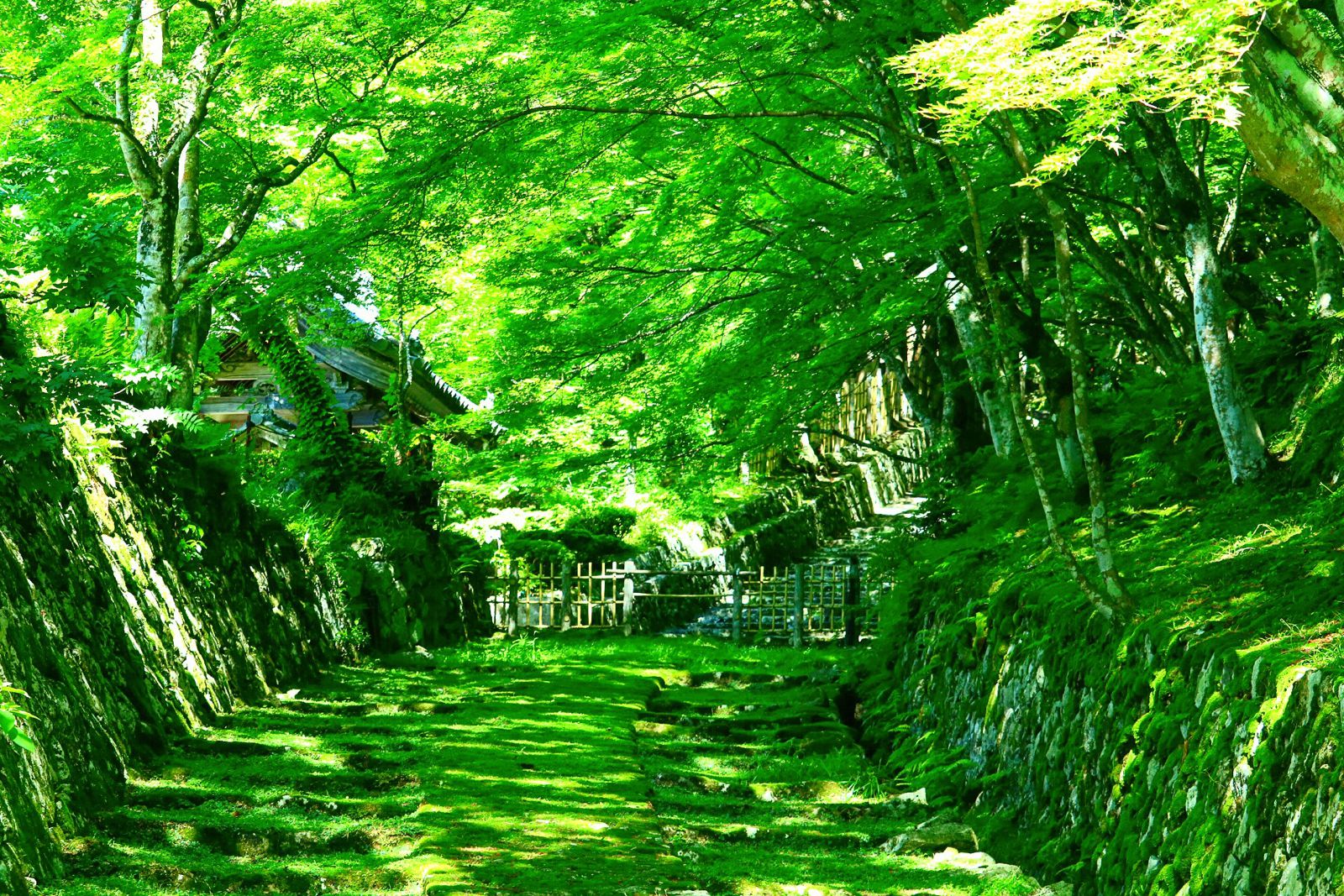 13枚目の画像 いつかは見たい こんな景色 日本国内にある 非現実的 な究極の絶景7選 Retrip リトリップ