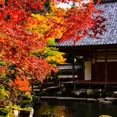 ここだけの 特別な秋 滋賀県の 人気紅葉スポット ランキングtop10 Retrip リトリップ